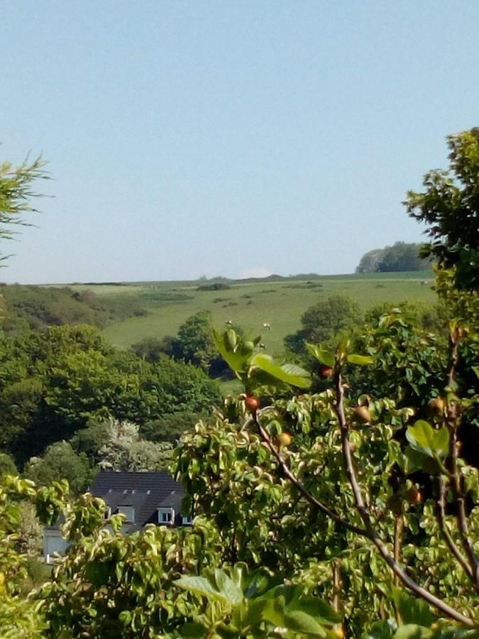 12 Impasse Damilaville Étretat Exteriér fotografie